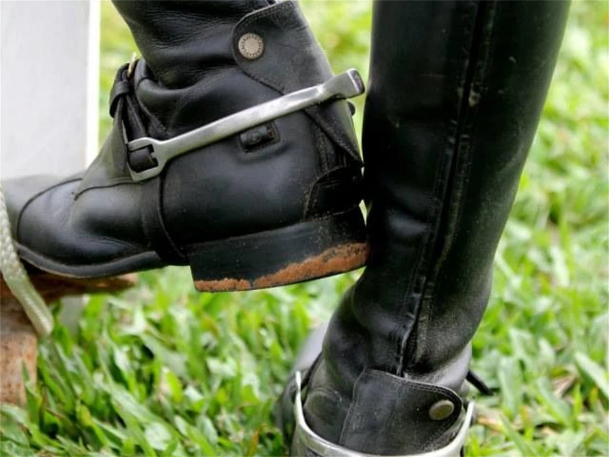 Stainless Steel English Spurs for boots Stainless Steel English Spurs for boots